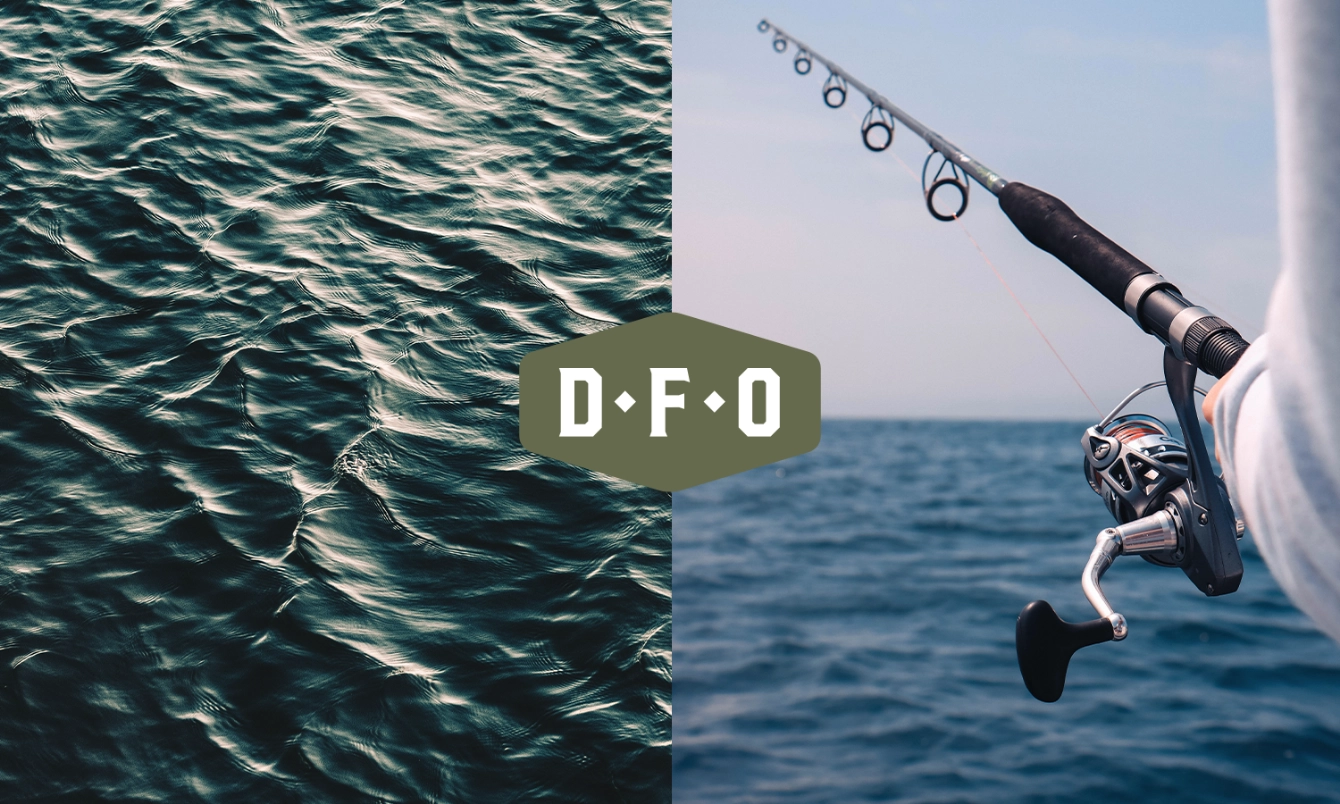 DFO Branding & Ecommerce Website Design