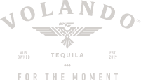 Volando Tequila Logo